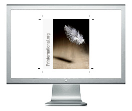 The image and background look the same 